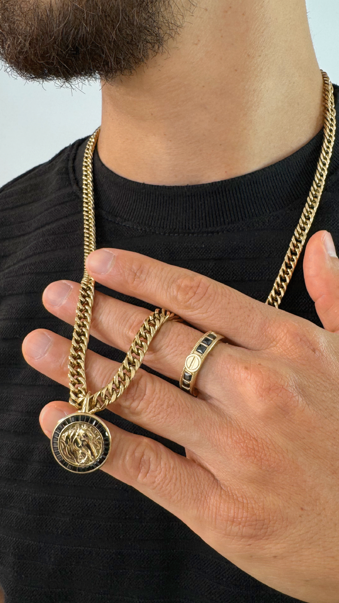 Medalla hípika - Imagen 3