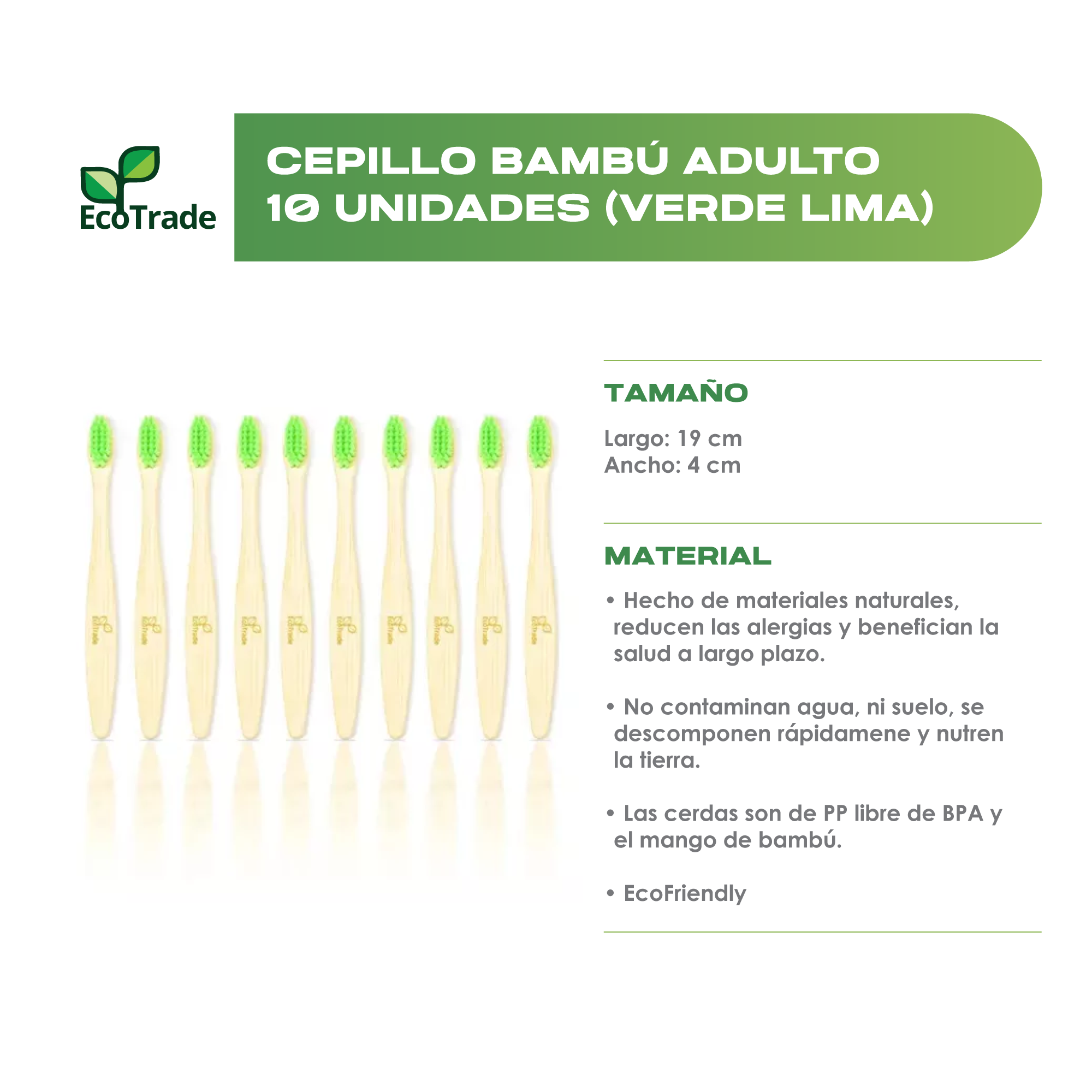 Cepillo de Dientes en Bambu Adulto Verde Lima 10 Unidades Ecotrade - Imagen 2