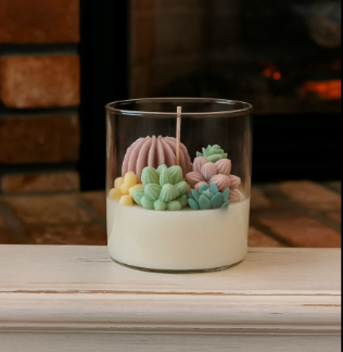 Vela de Soja con Mini Suculentas en Pastel