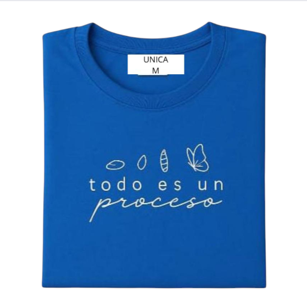 Camiseta Todo es un proceso