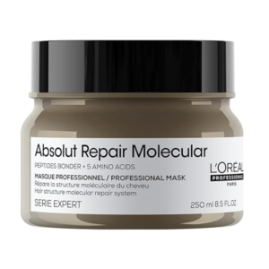 Mascarilla Loreal Serie Expert Absolut Repair Molecular Mask 250ml