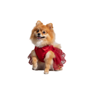 Vestido Rojo Tuttu para Mascota