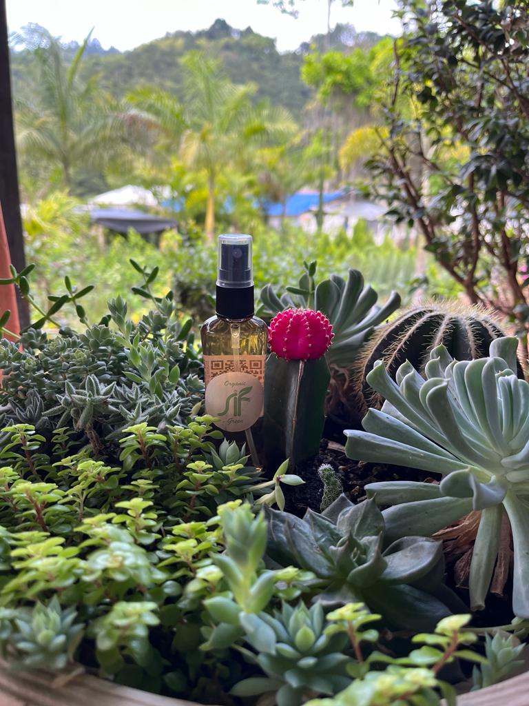 Fertilizante sif bioestimulante foliar - Imagen 2