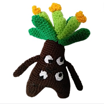 Frailejon Ernesto Pérez