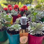 Fertilizante sif bioestimulante foliar - Imagen 3